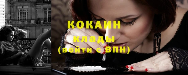 ешки Бронницы