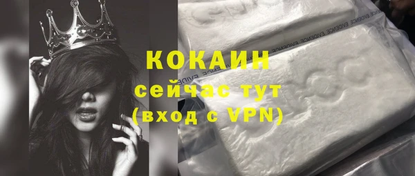 ешки Бронницы