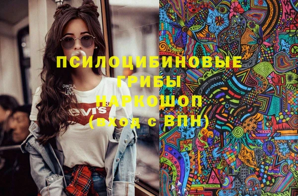 ешки Бронницы